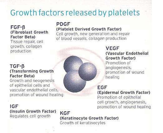 growth-factors-released-by-platelets