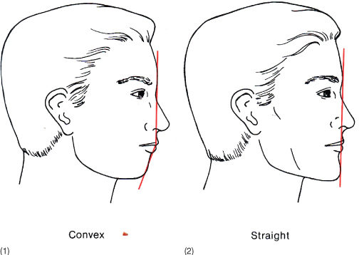 2 Diagnosis: Chief Complaint and Problem List | Pocket Dentistry