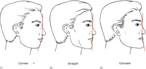 2 Diagnosis: Chief Complaint and Problem List | Pocket Dentistry